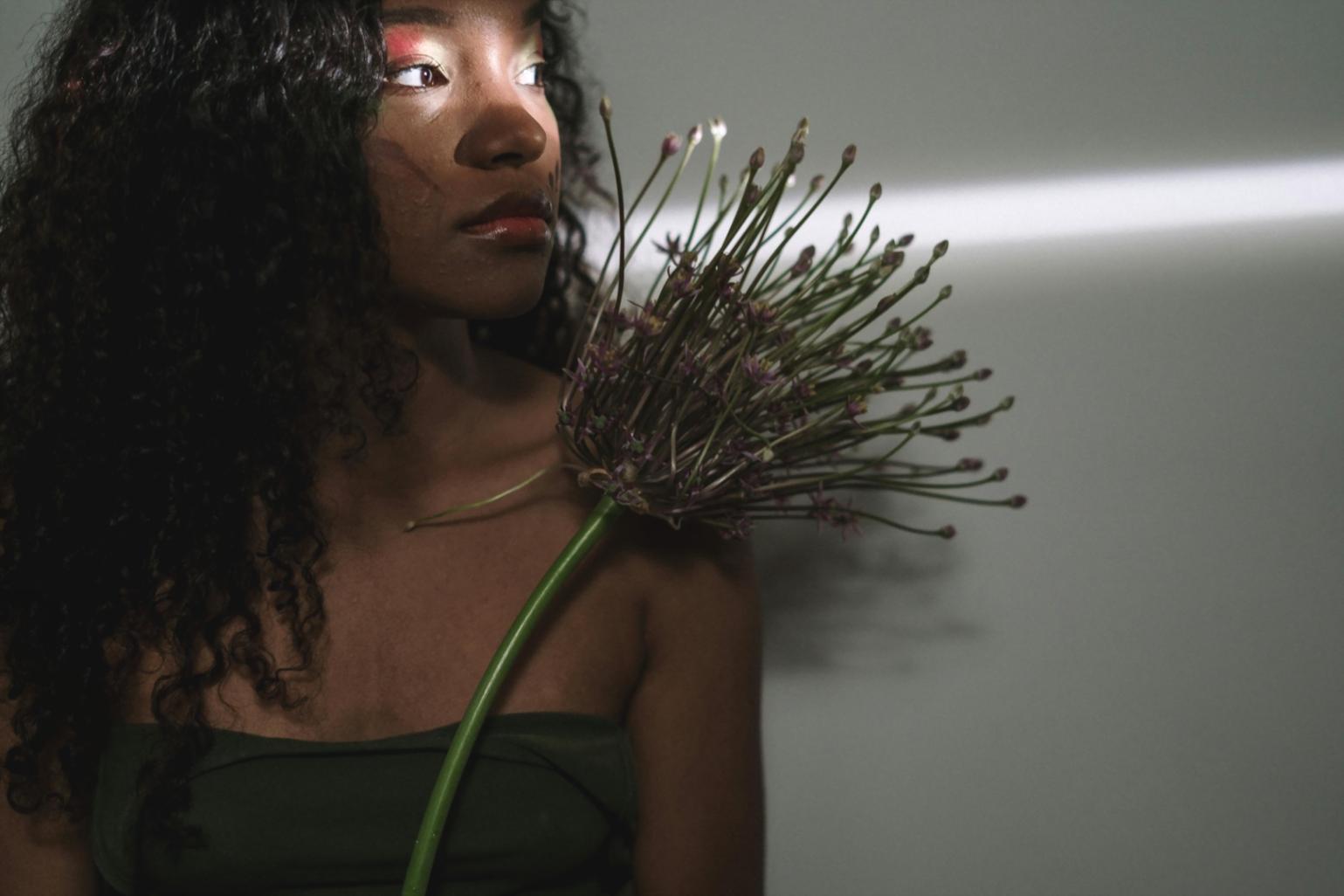 Color palette analysis exercise